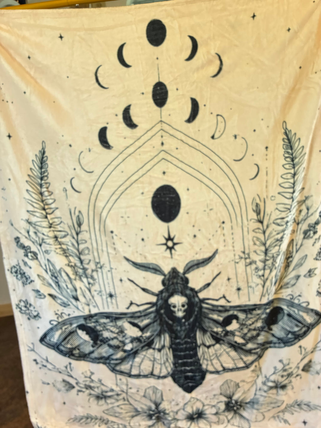 Moth with Moon Phases