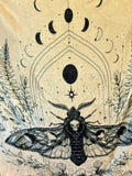 Moth with Moon Phases